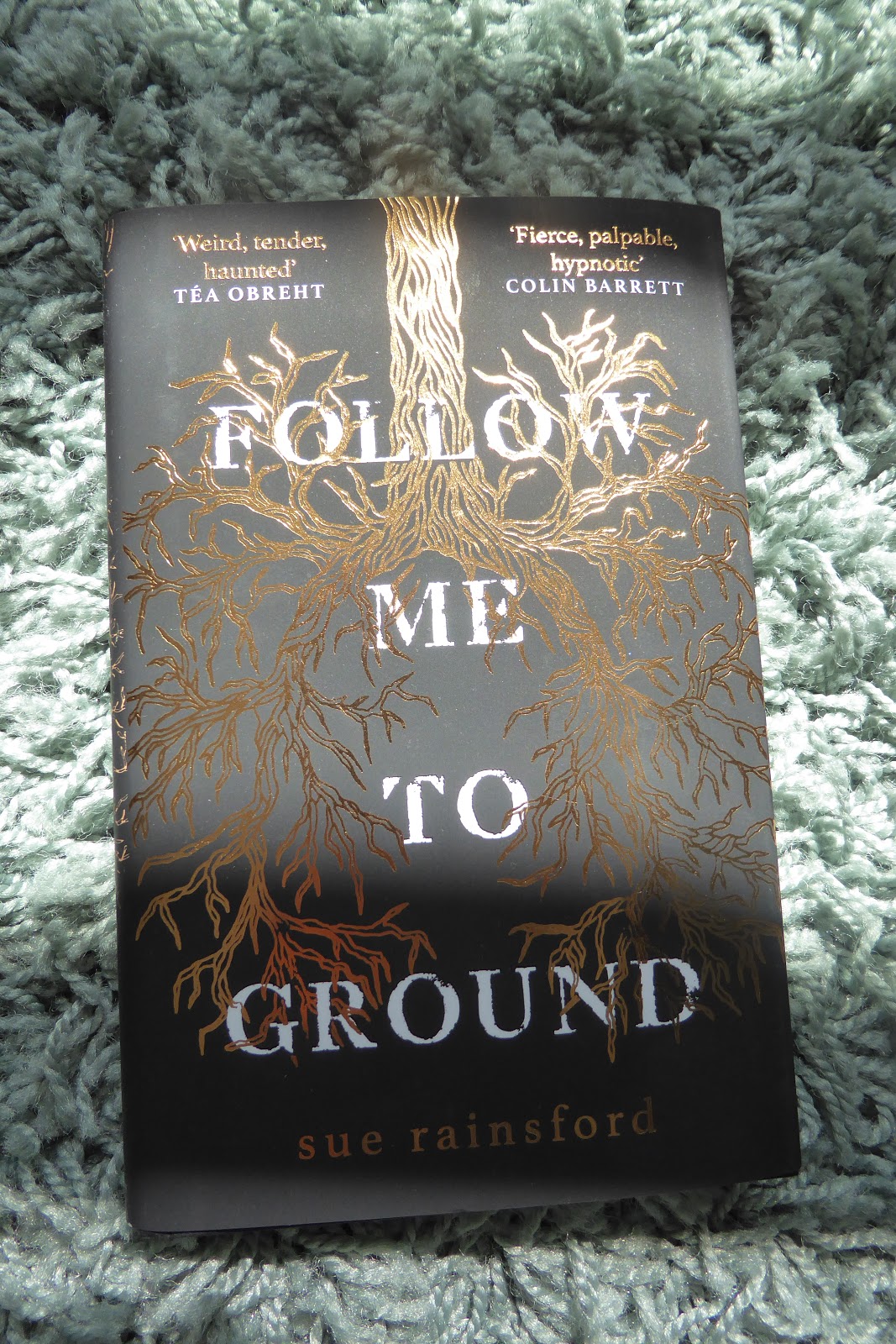 Download Follow me to ground book review No Survey